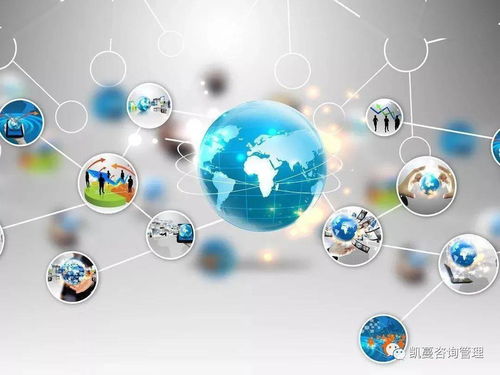 互联网体验式业态 让瑜伽重返春天的新经营模式